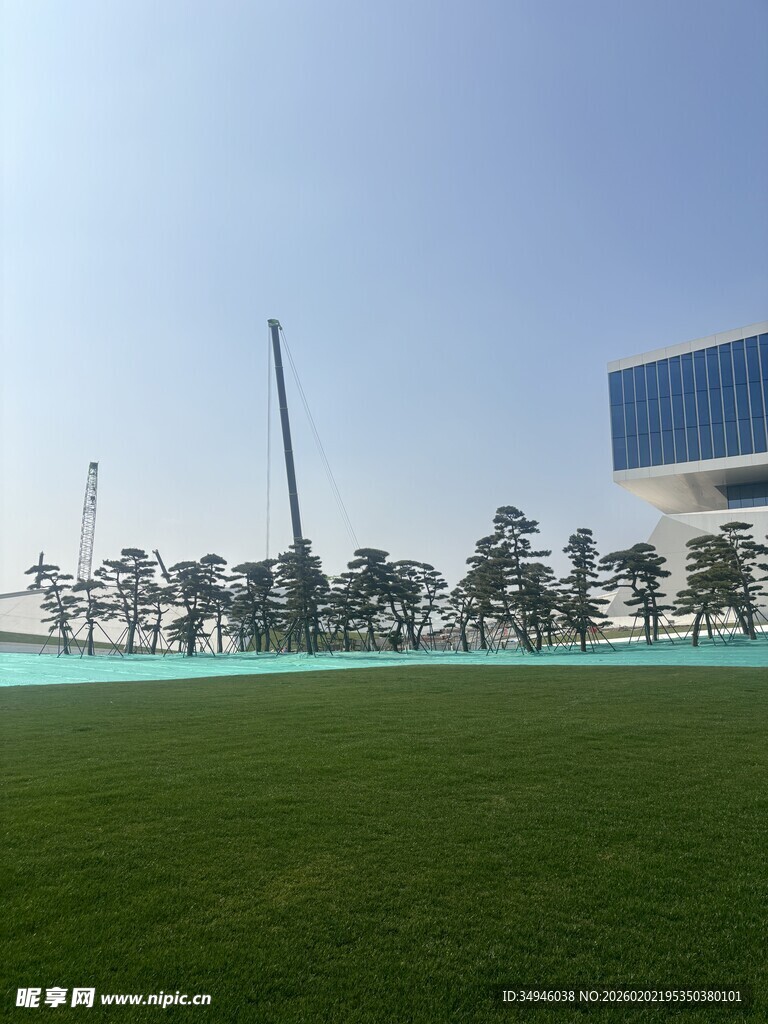 开阔绿茵场与现代建筑景观