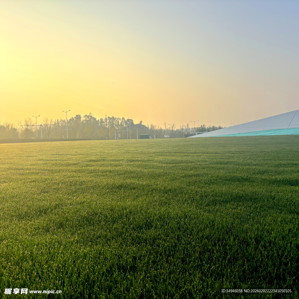 清晨绿野