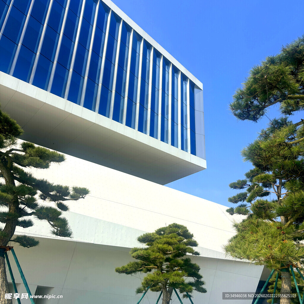 现代建筑旁的精致盆景