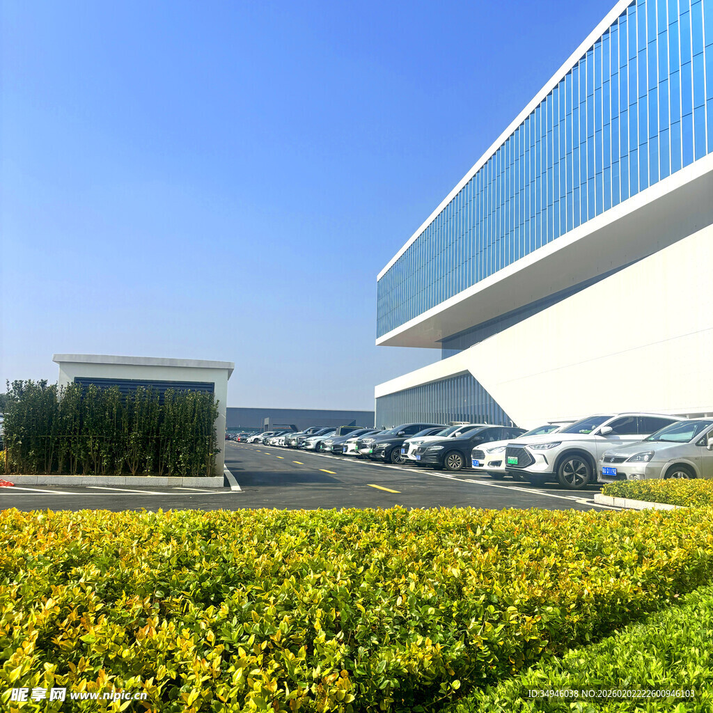 现代建筑前的多彩花卉景观