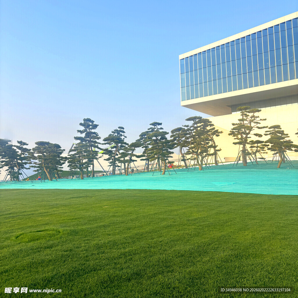 现代建筑旁的翠绿草坪
