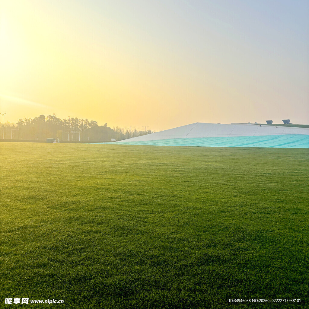 清晨阳光下的广袤绿草地