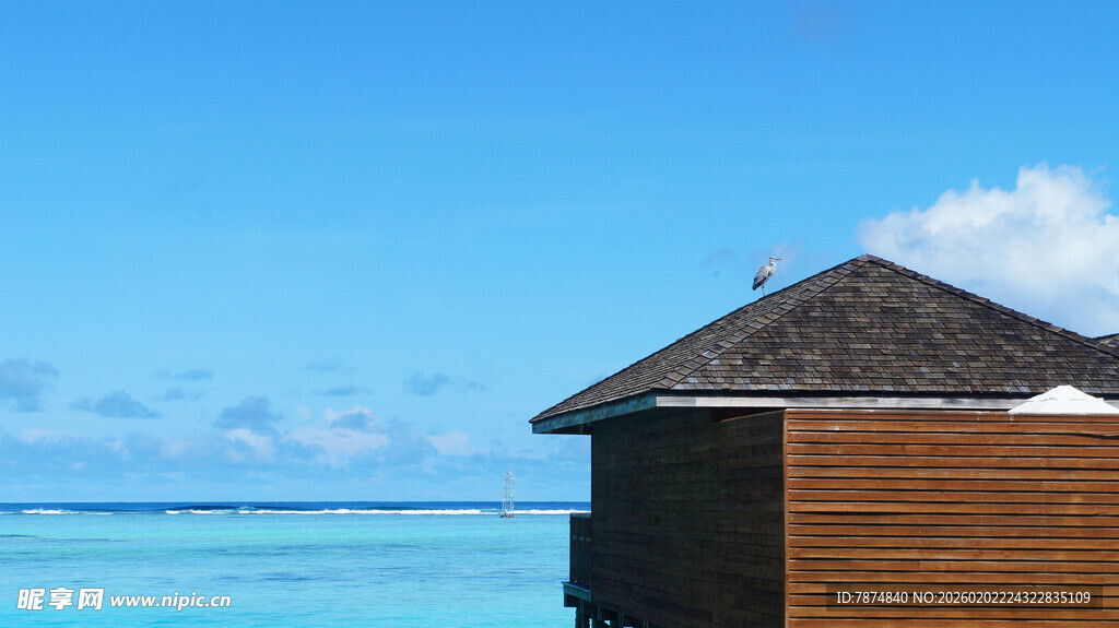 海边木屋 尽享静谧海景