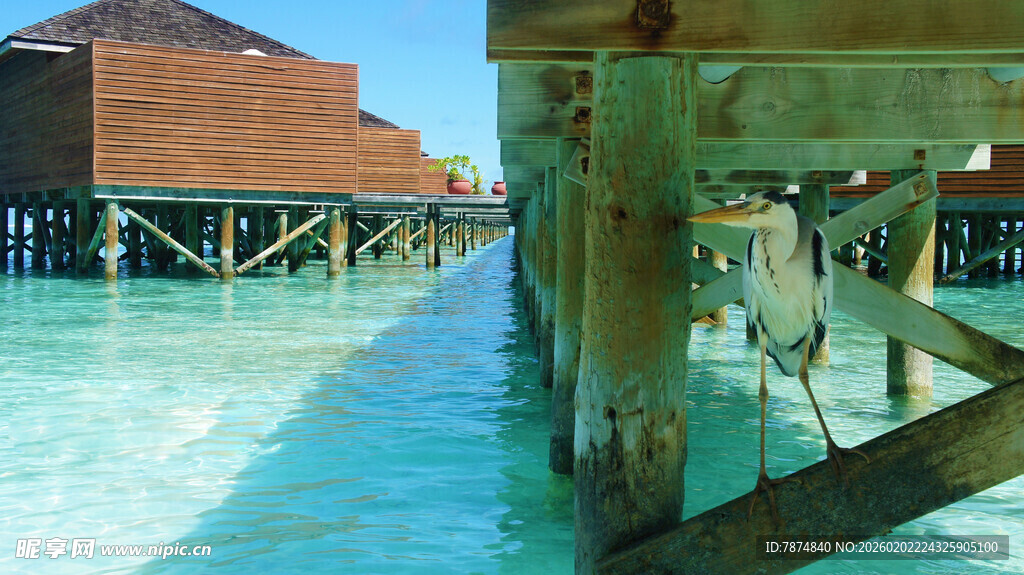 水上木屋栈桥美景