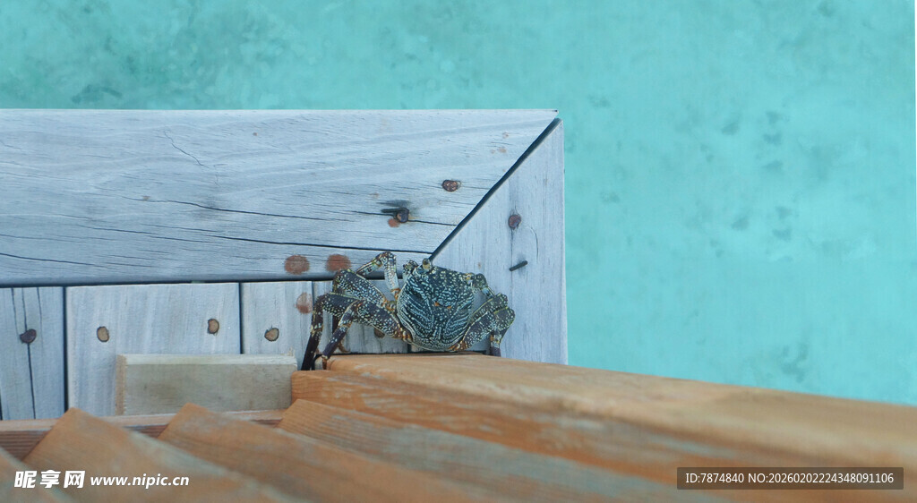 海边木质露台景观