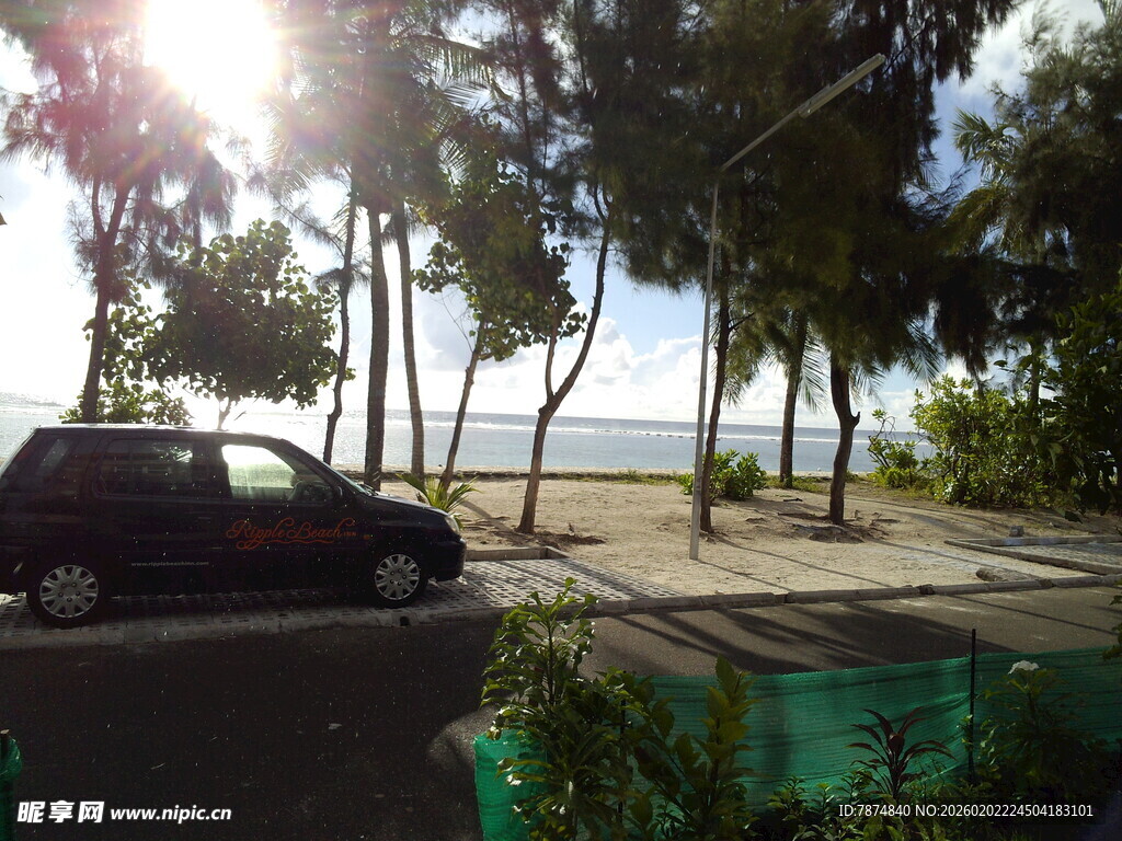 海滨椰树下的车辆风景