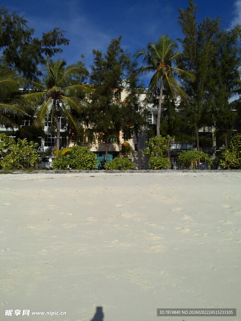 热带海滩风光 椰树蓝天