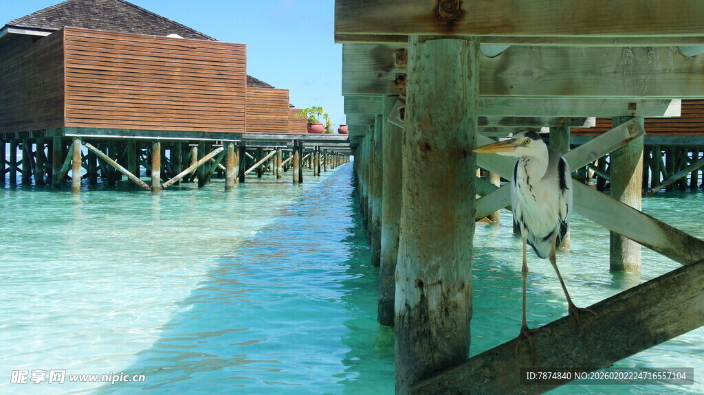 水上木屋栈桥美景