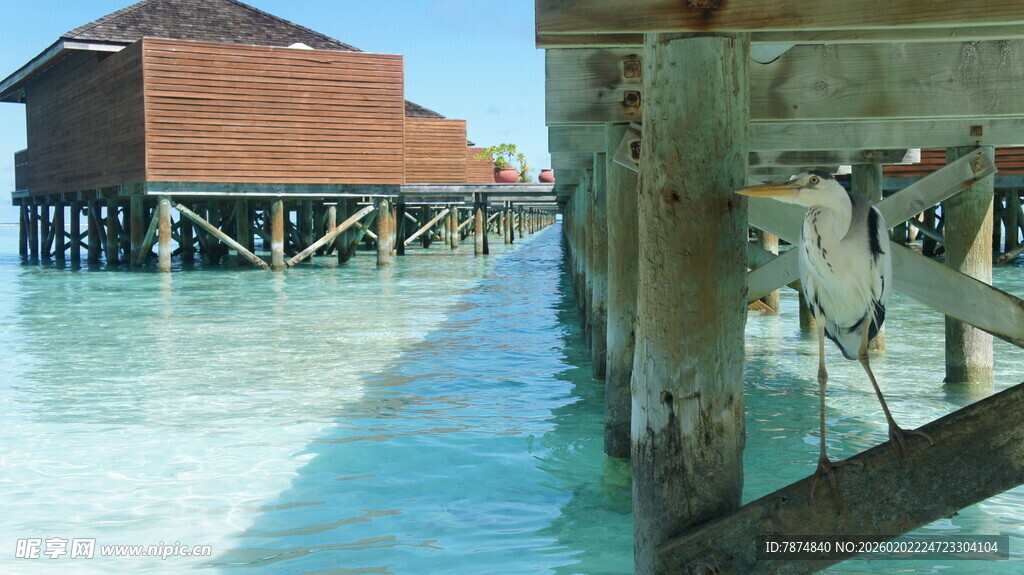 水上木屋码头美丽景致