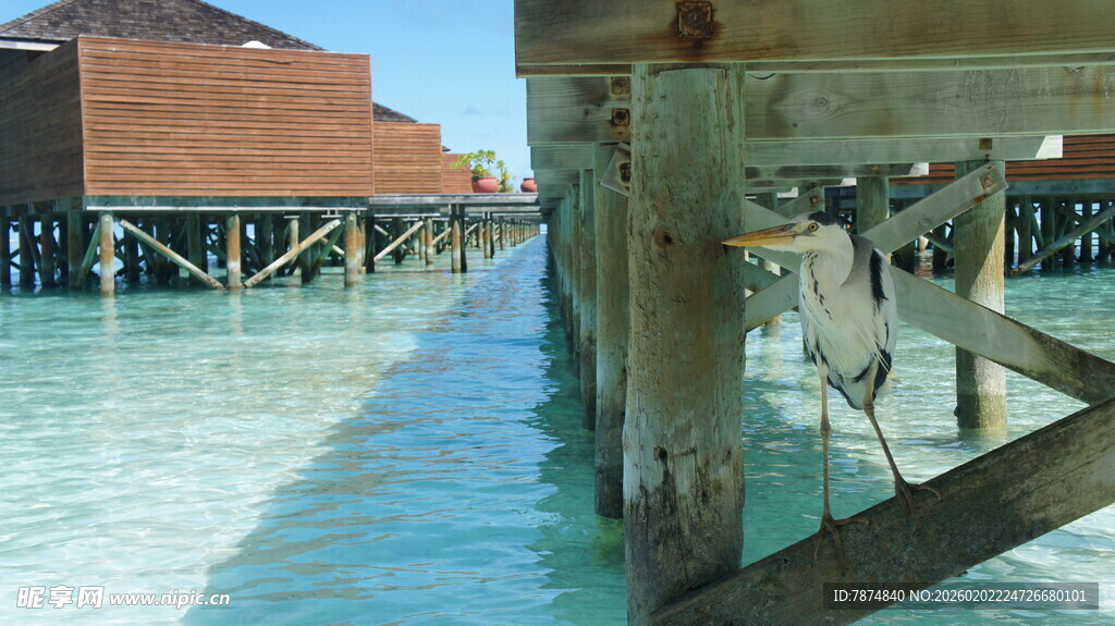 水上木屋下的清澈水域