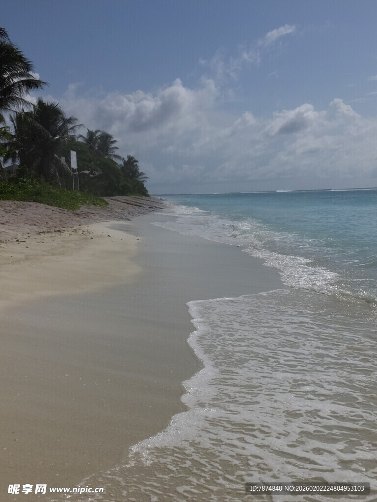 美丽海滨沙滩海浪风景