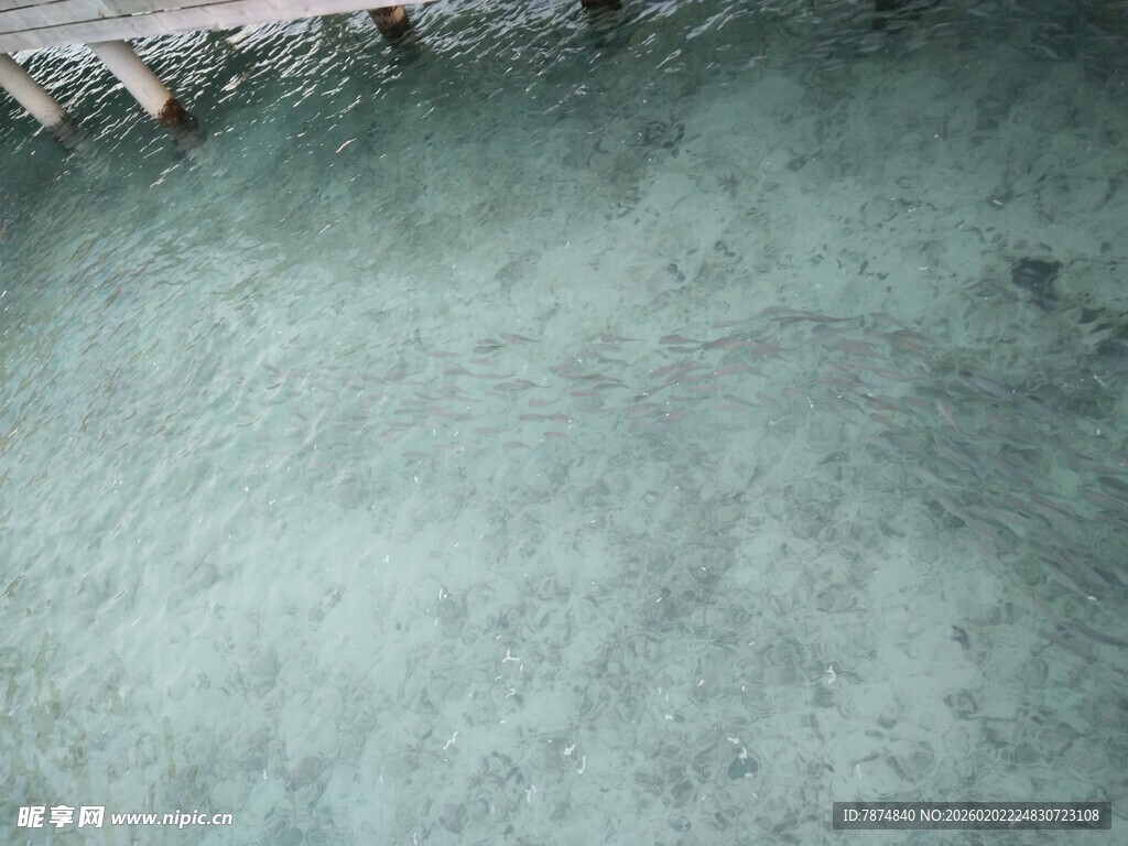 清澈见底的浅滩水域