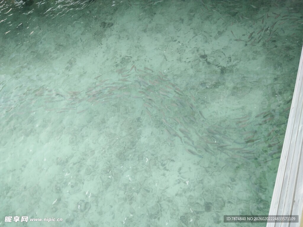 绿色纹理墙面特写