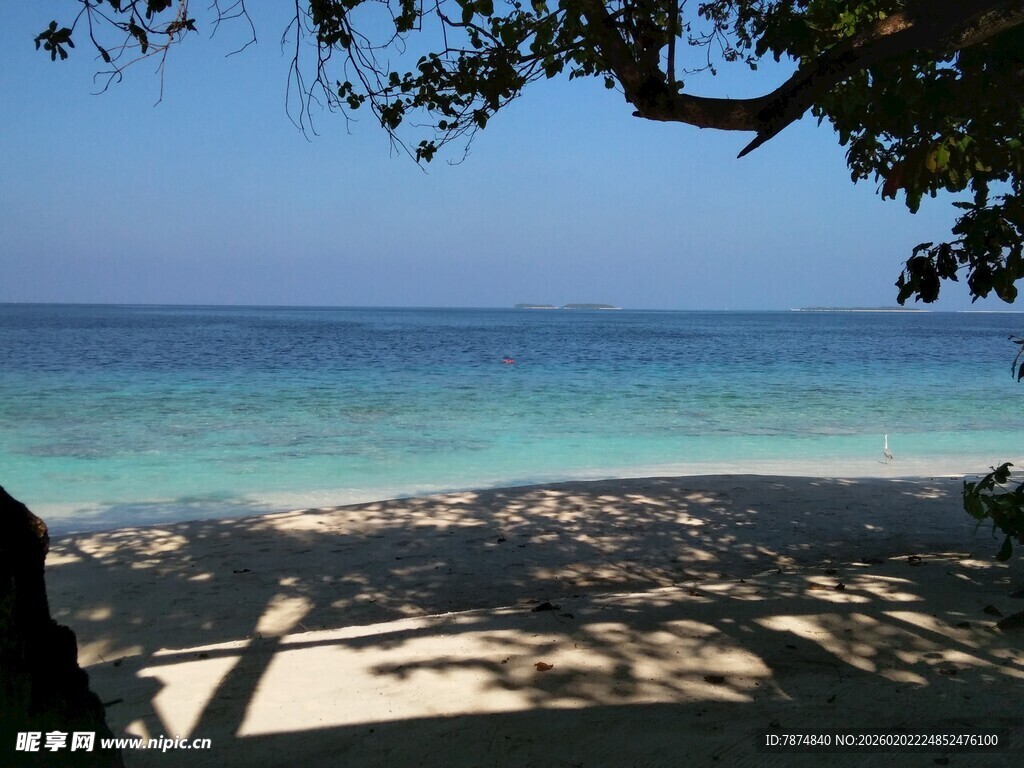 美丽海滨风光 树影婆娑