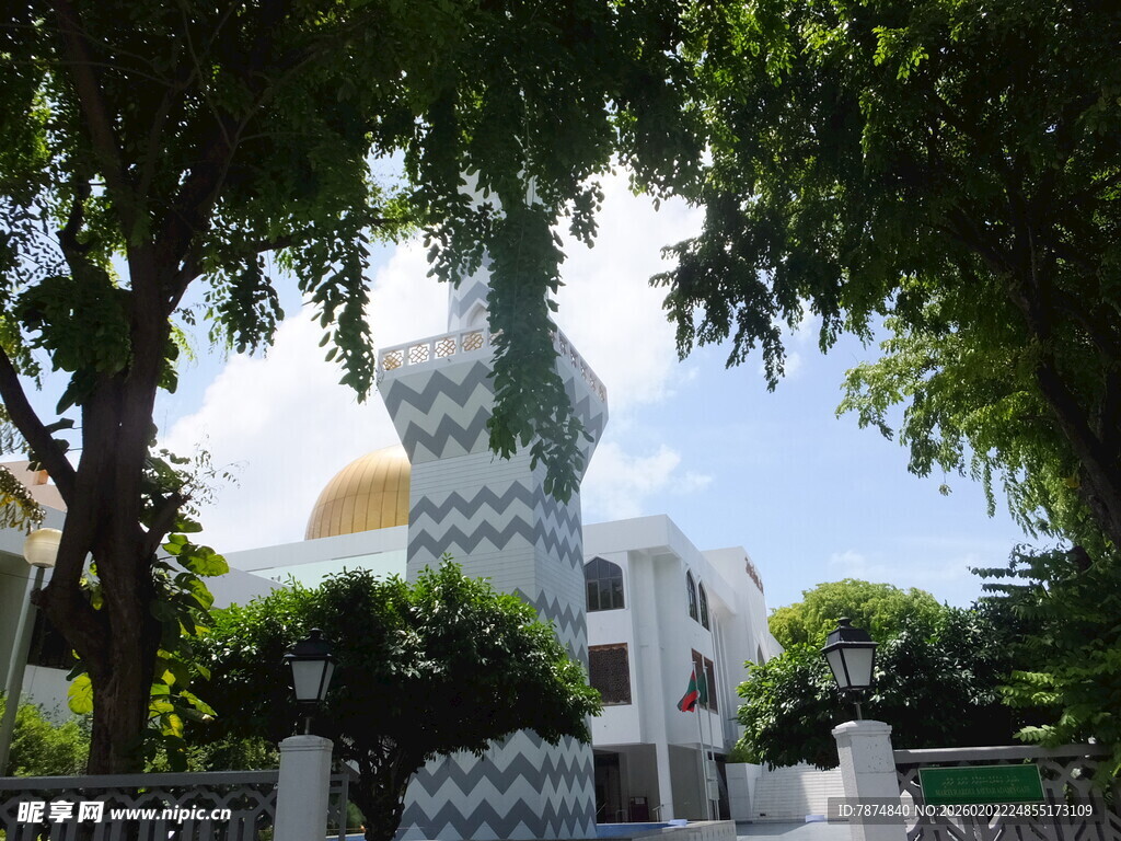 绿树掩映下的独特建筑