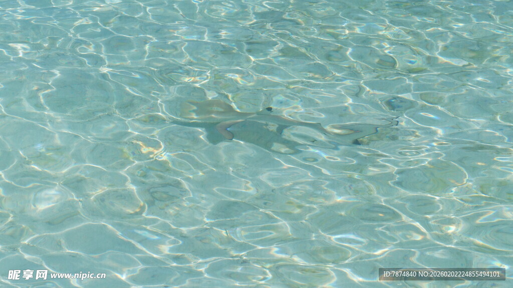 清澈水面波光粼粼