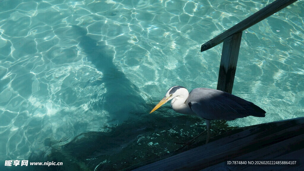 水下扶梯旁的清澈海水