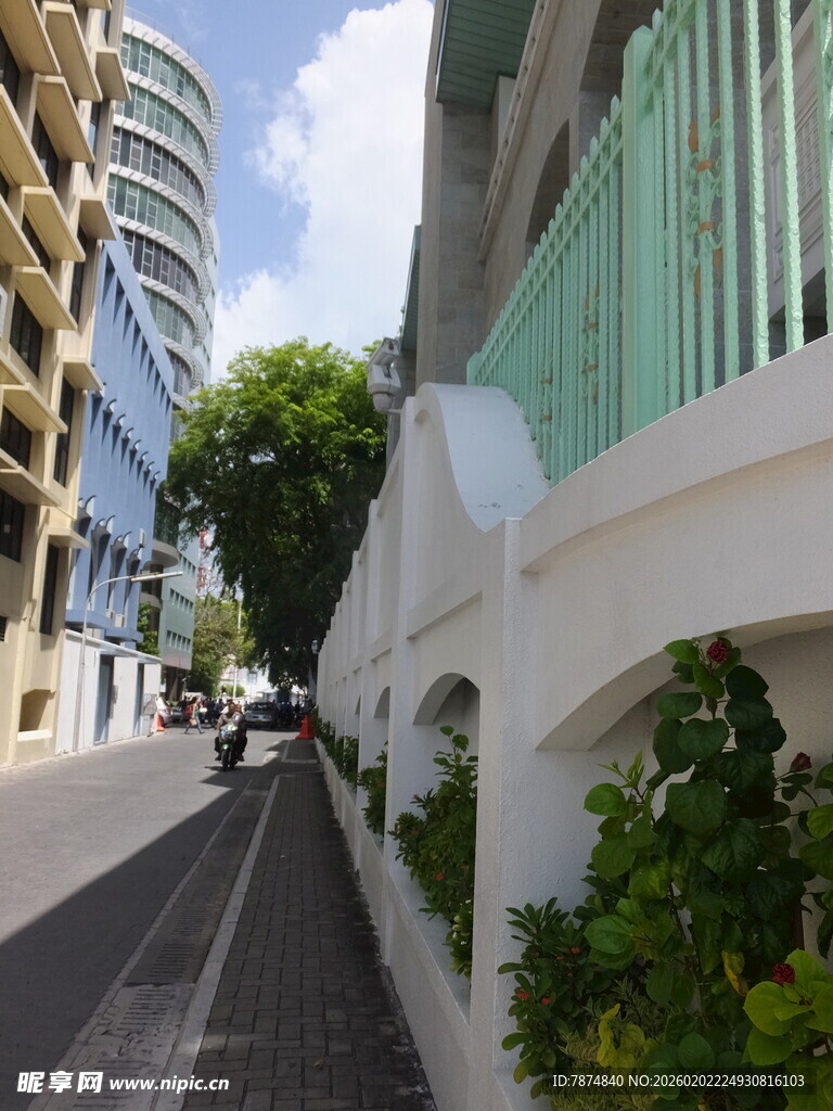 城市街道旁的绿植与建筑