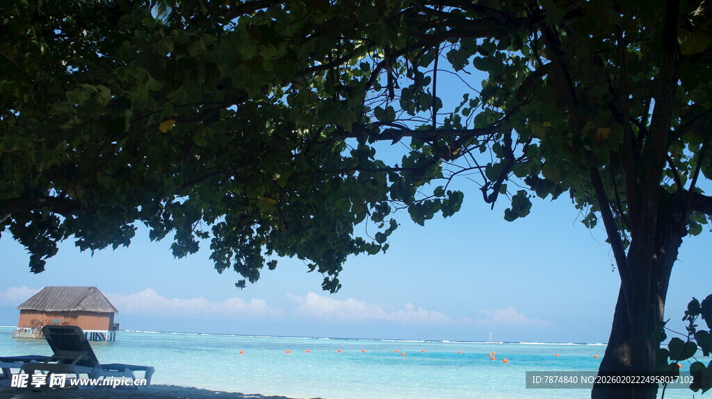 海边树下的惬意休闲时光