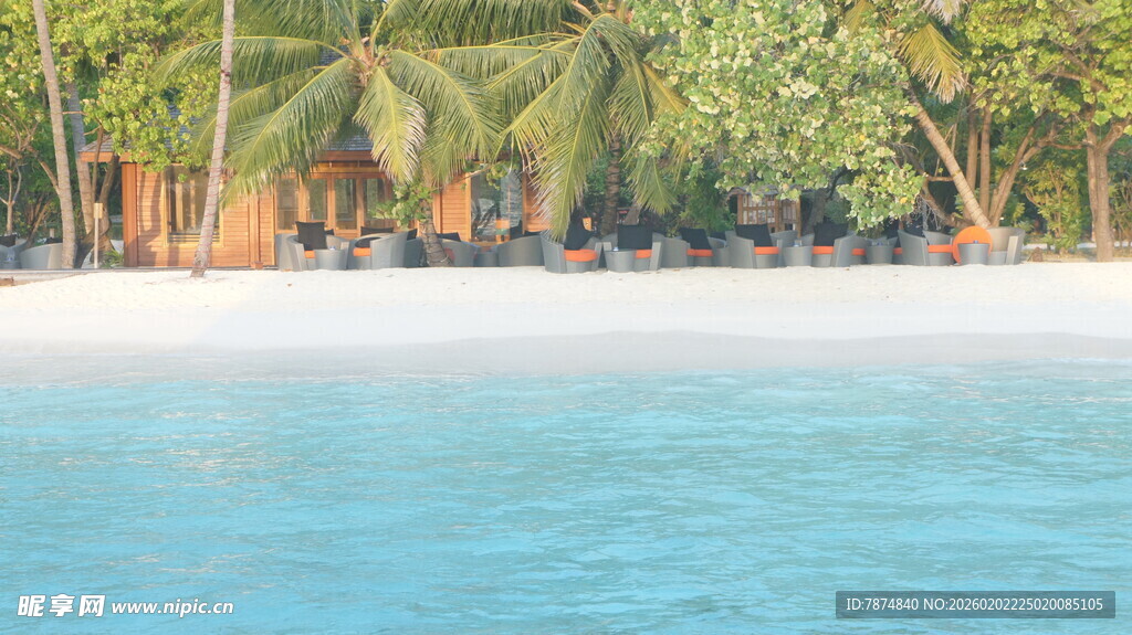 热带海滨风光 椰林沙滩
