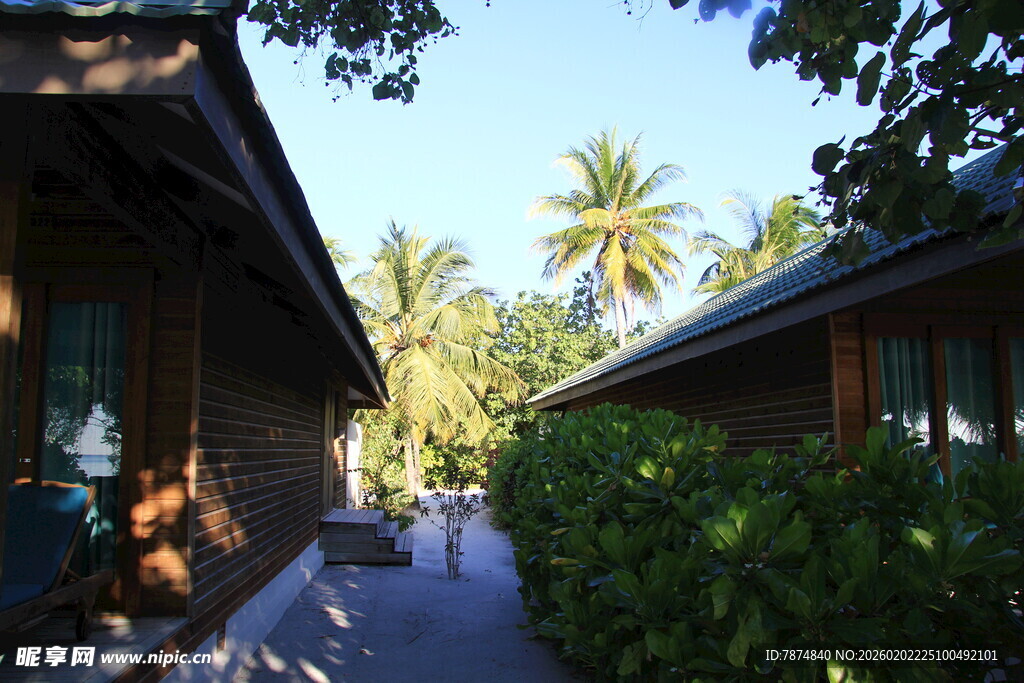 热带风情小屋旁的绿植小径