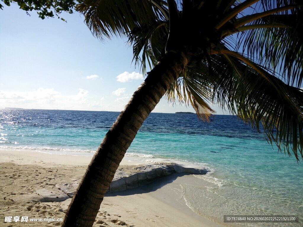 热带海滩椰树海景风光