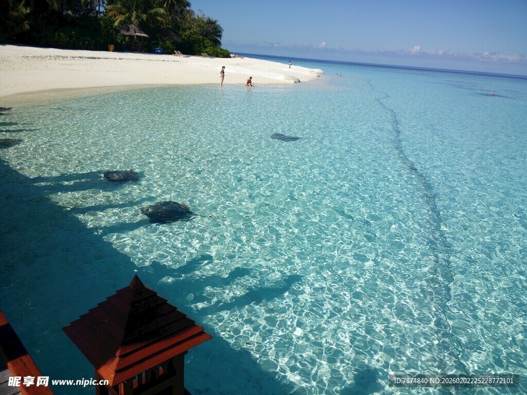 美丽海岛清澈海水景观