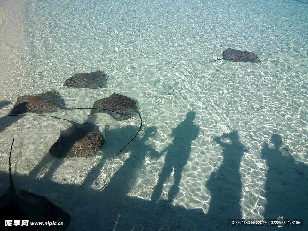 海边人影与礁石的美丽剪影