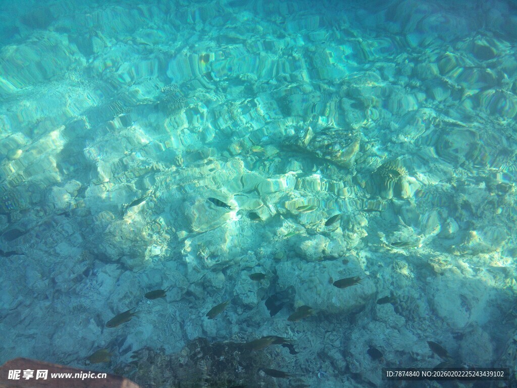 海底世界的斑斓景象