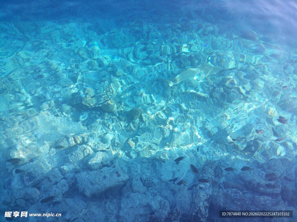 清澈海底世界美丽景象