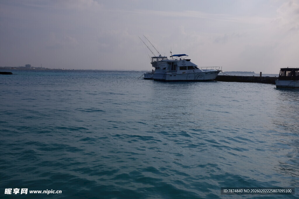 海上停泊的船只