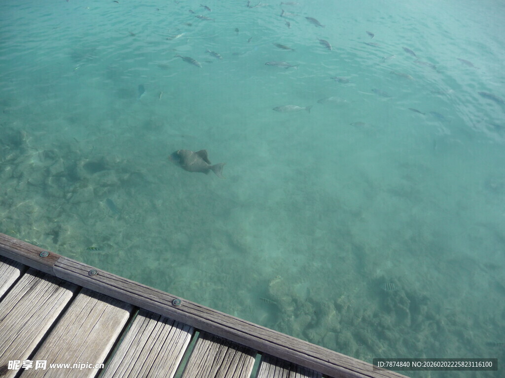 木栈道旁的清澈海水