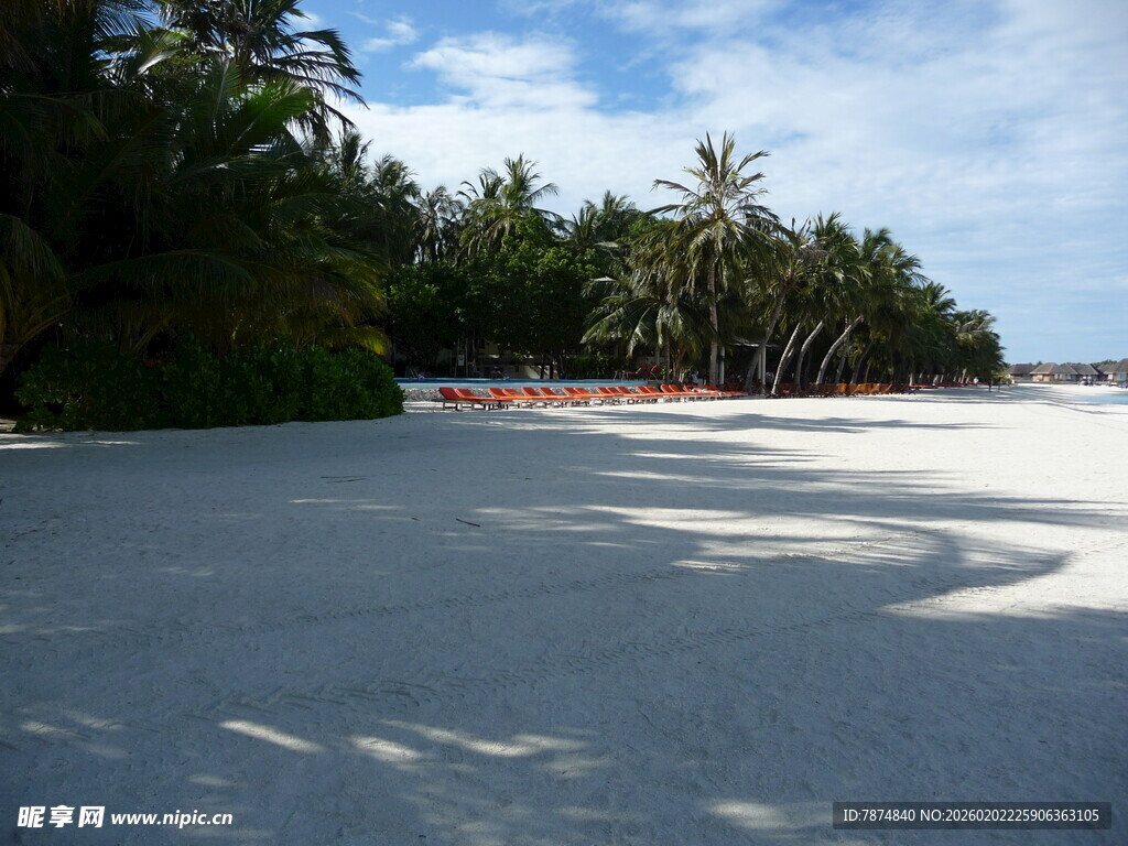 美丽海滩与繁茂棕榈树