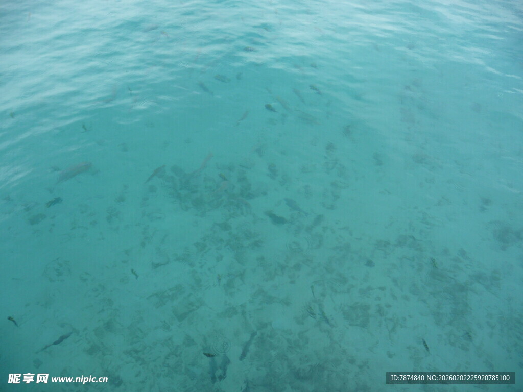 清澈海底的迷人景象