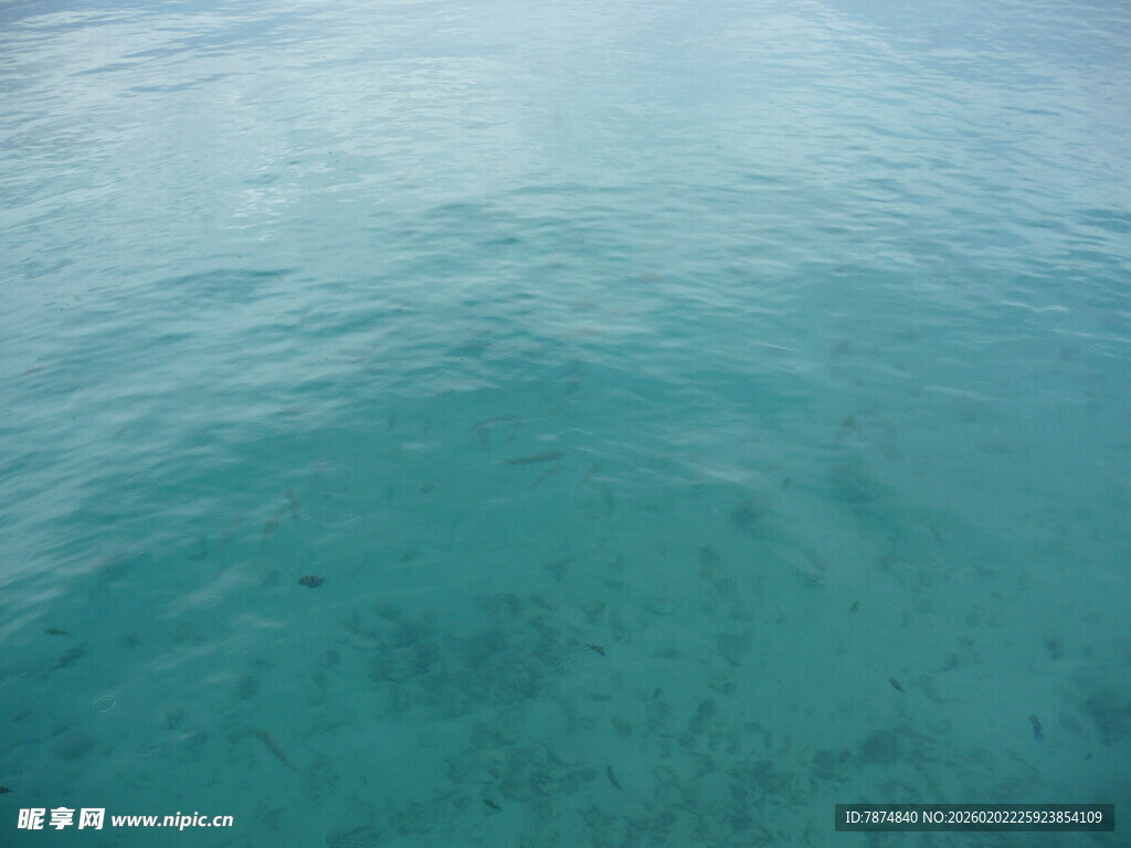 清澈海面下的海底景观