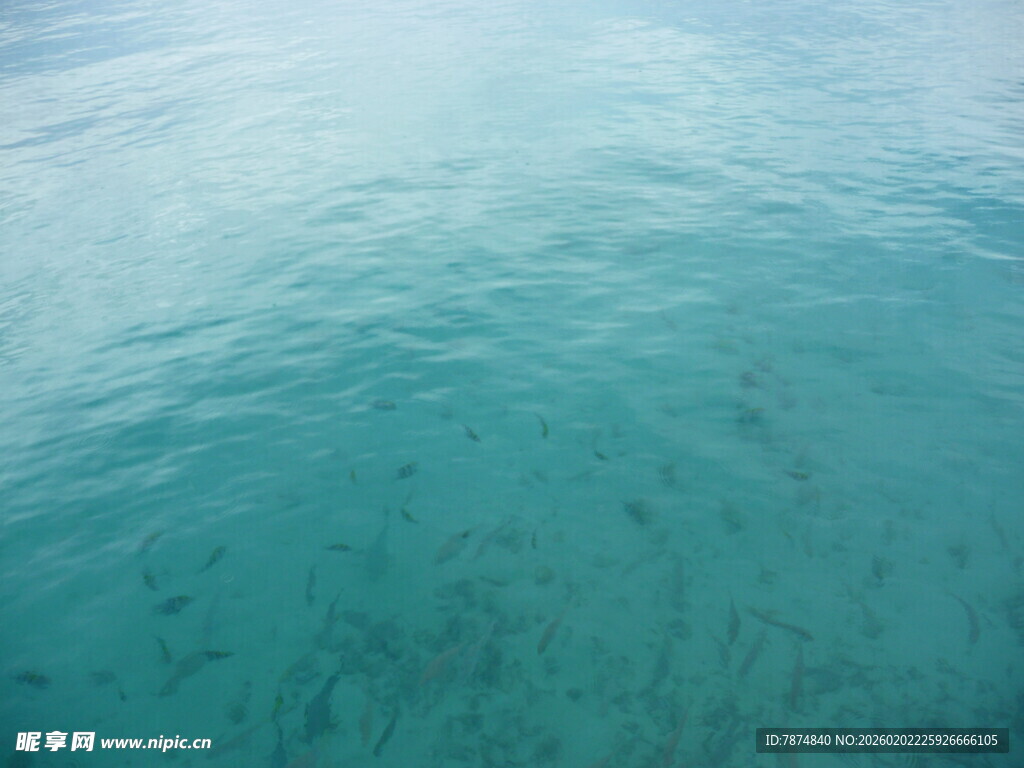 清澈海面下的海底景象