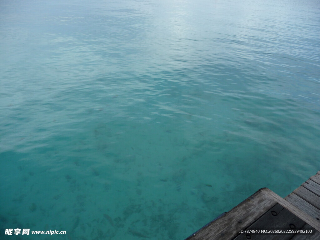 清澈海面与木质平台
