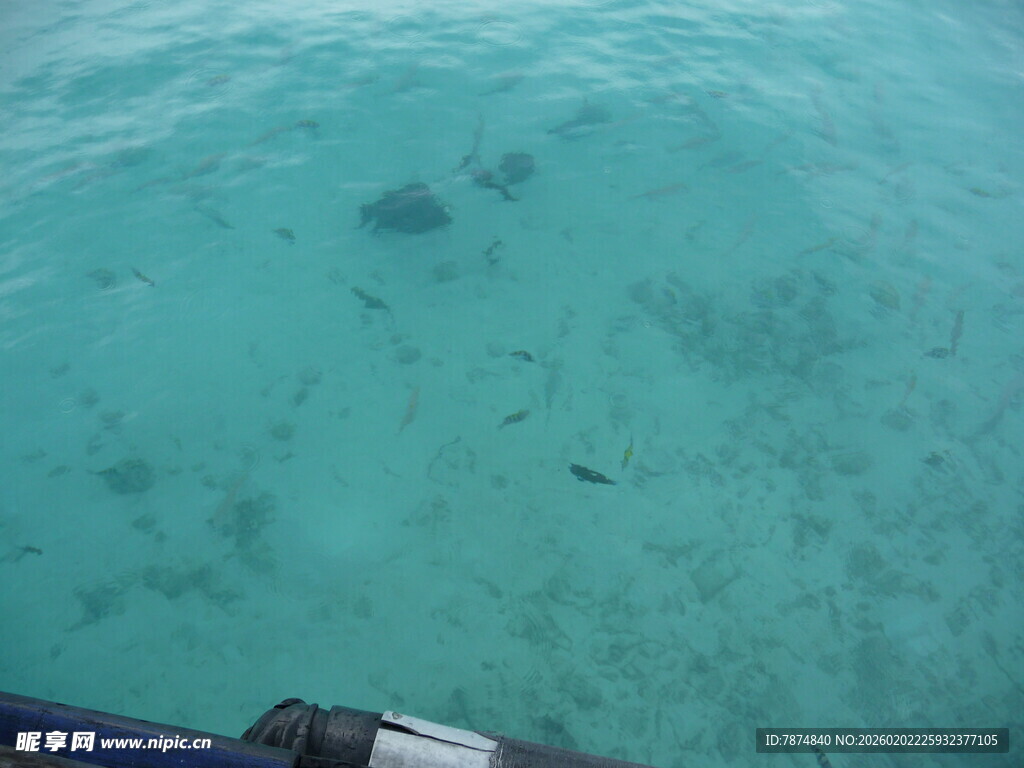 清澈海面下的海底景象