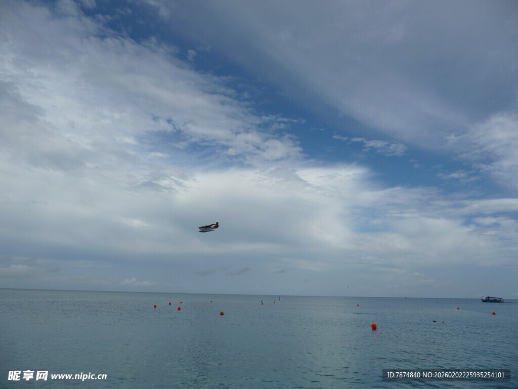 海上飞鸟伴蓝天白云