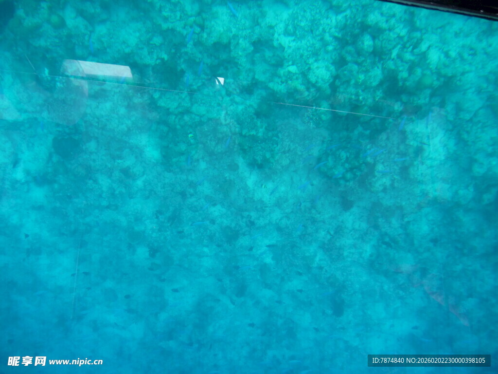 蓝绿色水底景象
