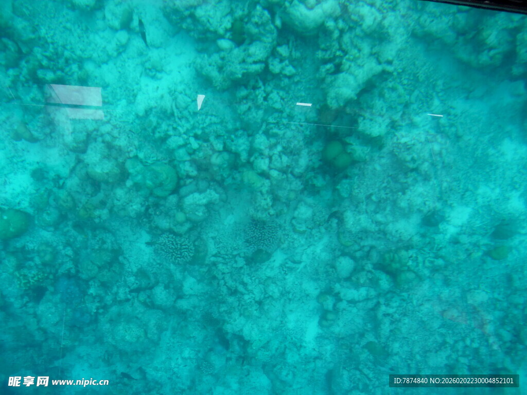 清澈蓝绿色水底景观