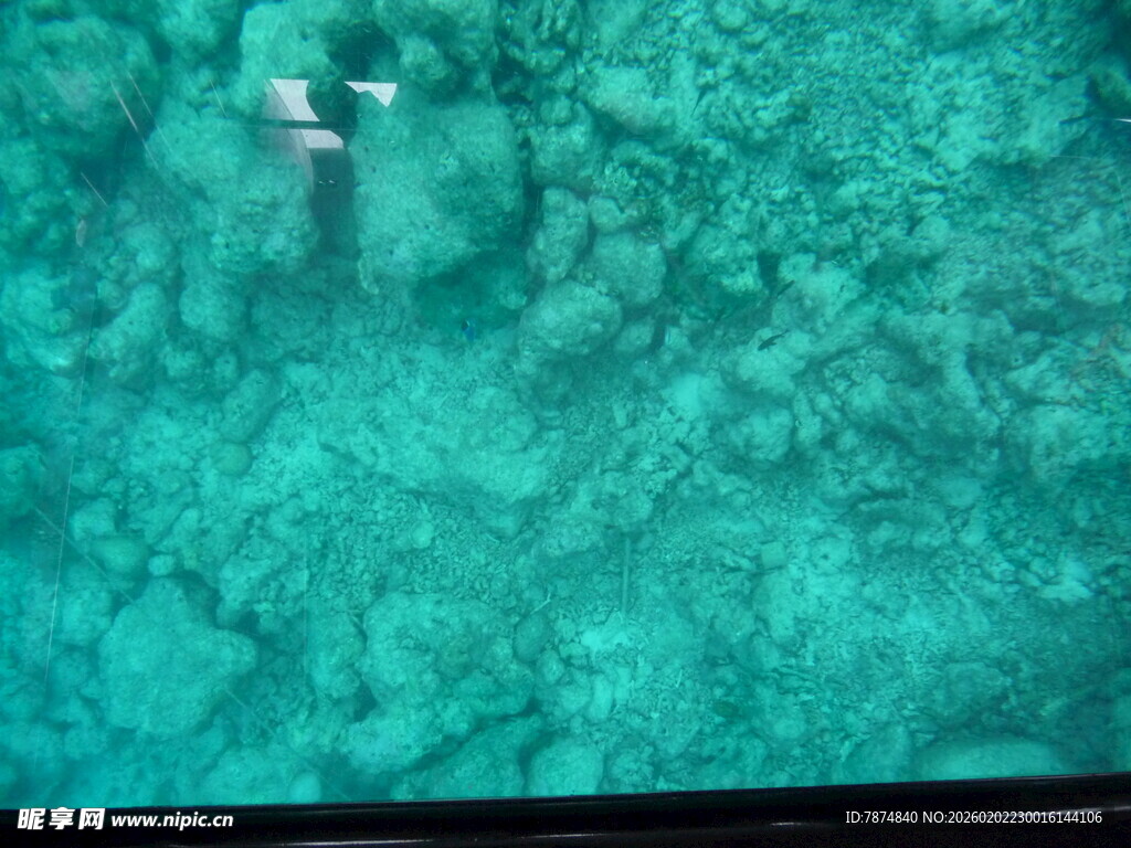 清澈海水中的潜水者