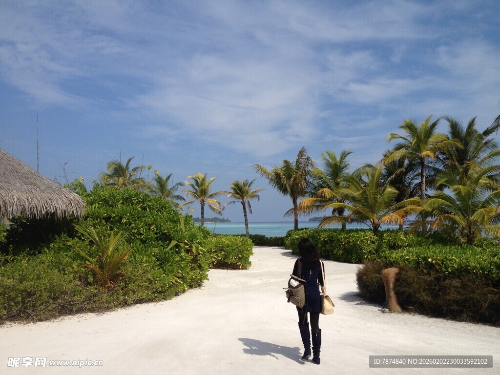 漫步于热带风光的小径