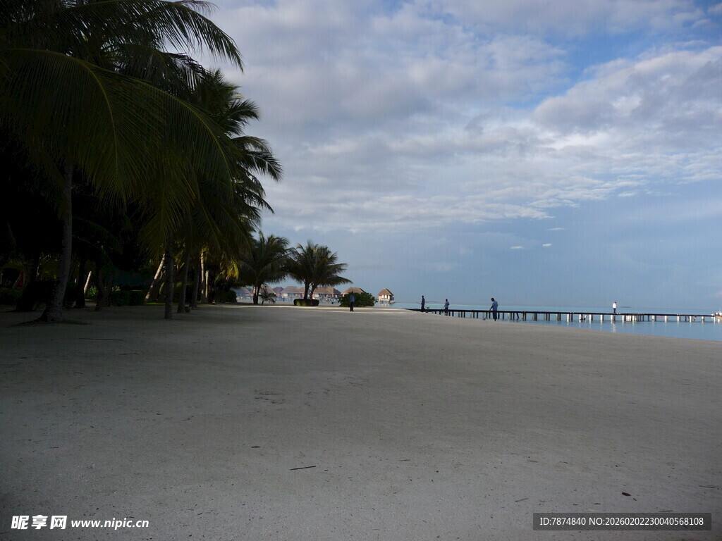 宁静沙滩与远处的棕榈树