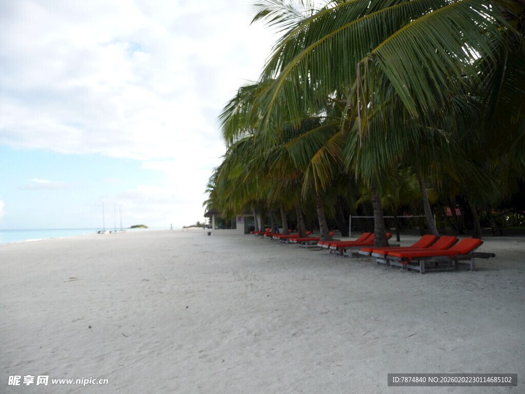 热带沙滩上的椰树与躺椅