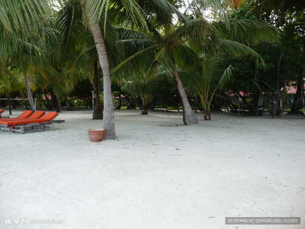 热带沙滩上的休闲场景