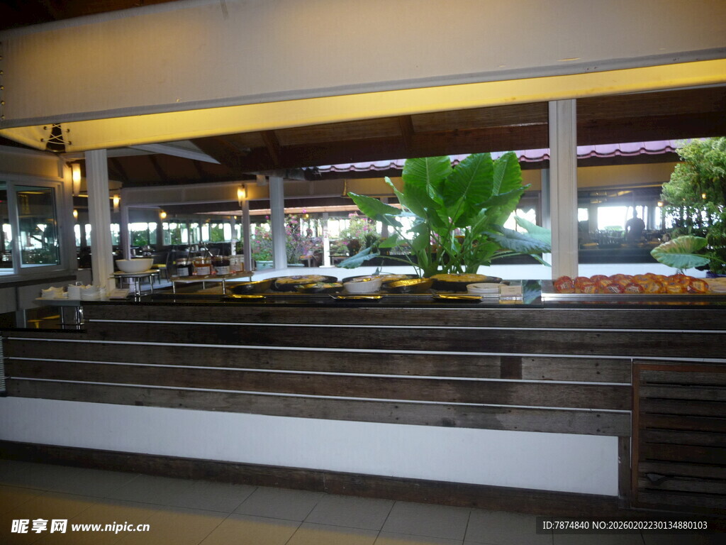 室内绿植景观展示区