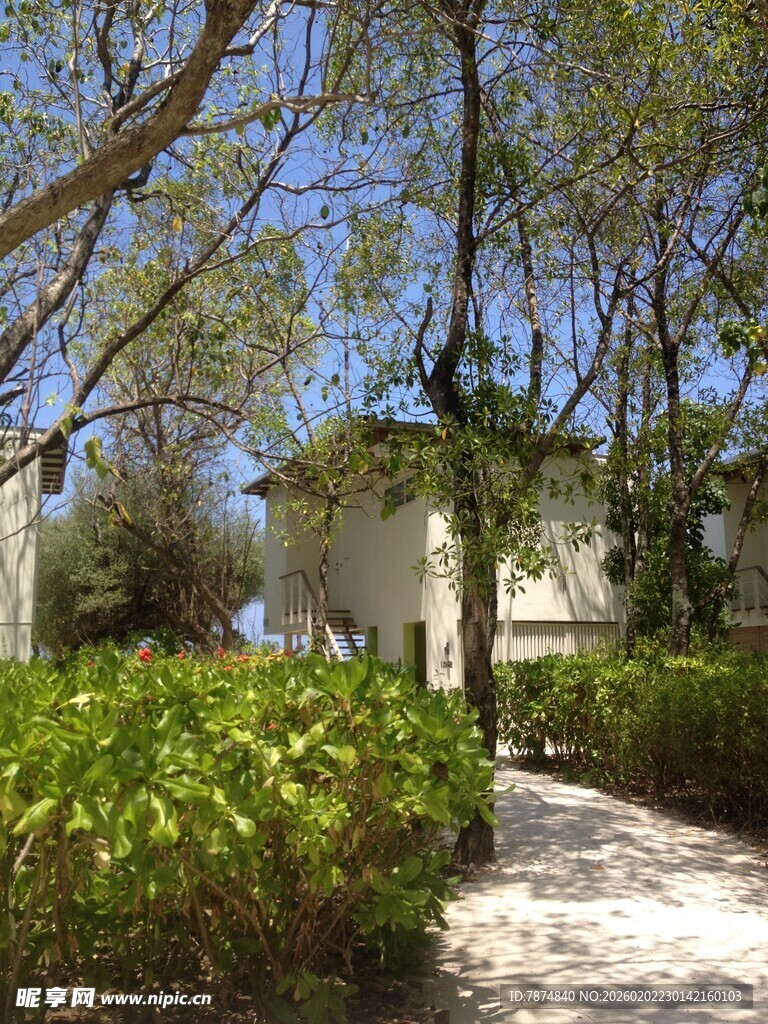 林间小道旁的静谧小屋