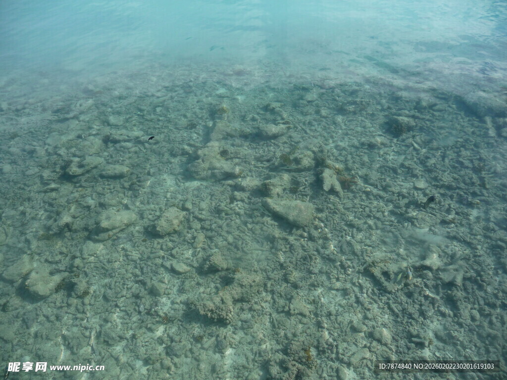 清澈海底的礁石景观