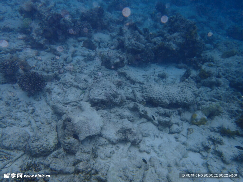 海底景象 神秘的海洋世界
